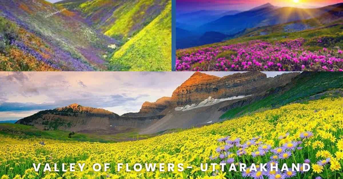 Valley of Flowers Opening Date 2025 – Online Registration, Trekking Guide